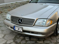 Mercedes SL 500 2000 SL500 pakiet AMG LIFT zarejestrowny LUXURYCLASSIC Koszalin - zdjęcie 10