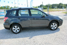 Subaru Forester 4x4 Kamera Szyberdach G.Fotele F-Marża Warszawa - zdjęcie 4