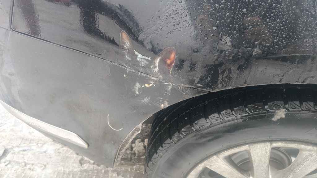 1/2 udziału citroen C5 Konin - zdjęcie 5