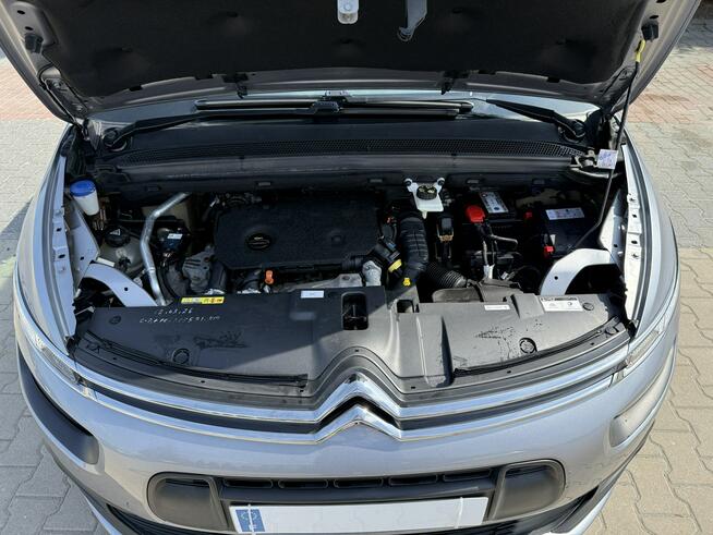 Citroen C4 Picasso Zielona Łąka - zdjęcie 10