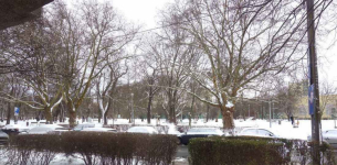 2pok, 23met, Okolice Iwana Pawłowa (Wrocław) Stare Miasto - zdjęcie 4