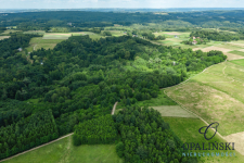 20 km od Rzeszowa | 0.39 ha | Zielona okolica Straszydle - zdjęcie 9