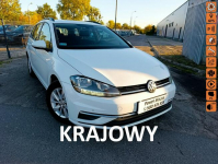Volkswagen Golf Salon Polska