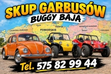 SKUP VOLKSWAGENÓW GARBUSÓW BUGGY BAJA . 575 82 99 44