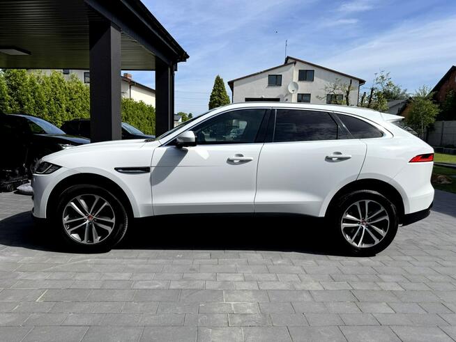 Biały Jaguar Salon Polska Końskie - zdjęcie 8