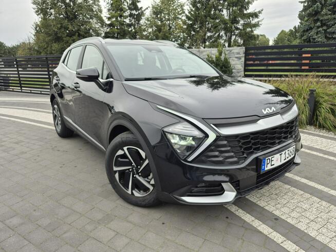 Kia Sportage kamera  navi 1.6 HYBRID 26TYS KM Drelów - zdjęcie 9