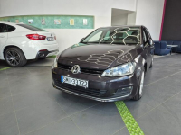 Volkswagen Golf 1.6 TDI BlueMotion LOUNGE - SERWISOWANY Łaziska Górne - zdjęcie 2