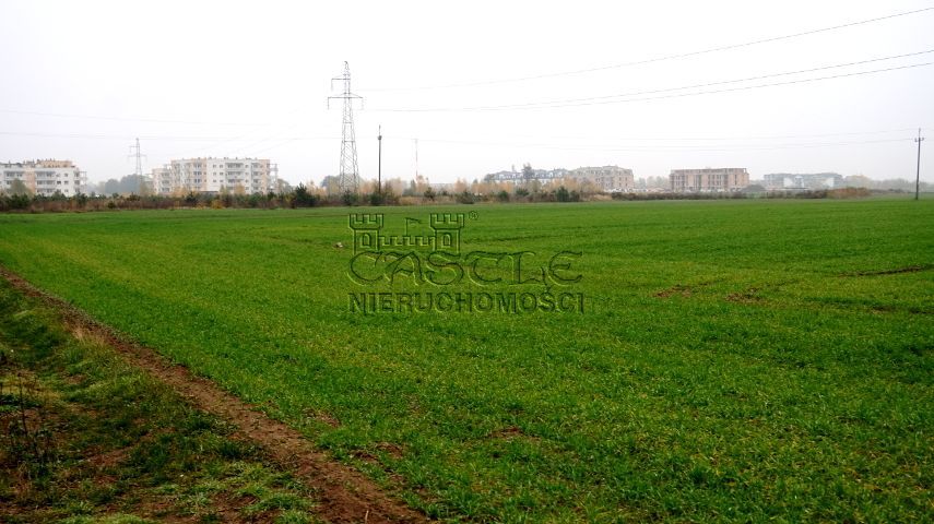 Tylko teraz TAKA CENA. Zalasewo - zdjęcie 8