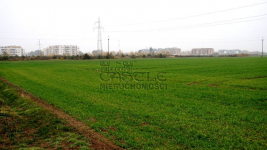 Tylko teraz TAKA CENA. Zalasewo - zdjęcie 8