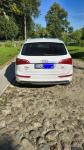 Audi Q5 2.0 TDI • 2011 • 354 000 km Świelubie - zdjęcie 5