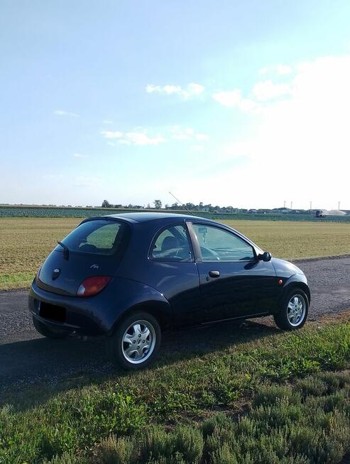 Ford KA |Długie Opłaty| |Stan Bardzo Dobry| |Niski Przebieg| Witowo - zdjęcie 2