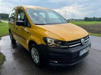 Volkswagen Caddy Bezwypadkowy, oryginalny lakier, niski przebieg Kobielice - zdjęcie 6