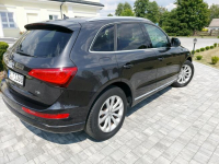 Audi Q5 xenon led navi chromy lift Drelów - zdjęcie 6