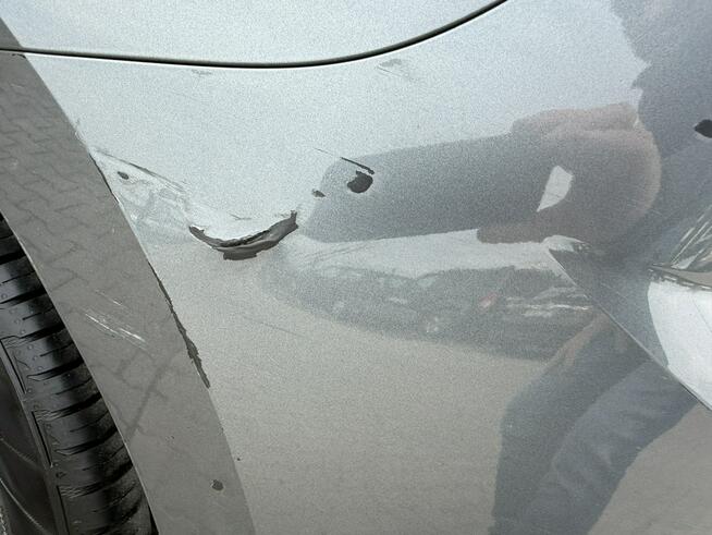 Seat Ibiza Zielona Łąka - zdjęcie 11