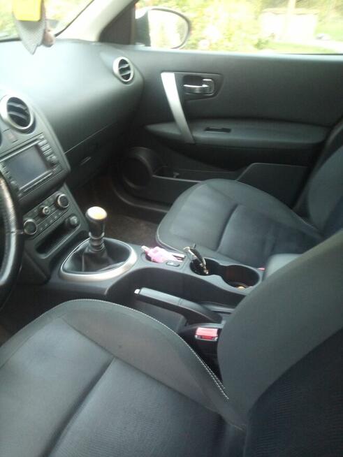 Sprzedam Jelna - zdjęcie 3