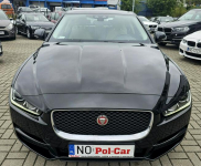 Jaguar XE model 2016, polski salon, serwis, nowy rozrząd, Olsztyn - zdjęcie 2