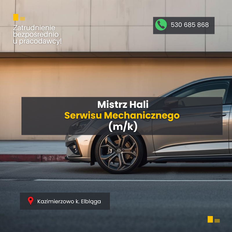 Mistrz Hali Serwisu Mechanicznego (m/k) Elbląg - zdjęcie 1