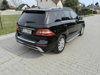 MERCEDES ML 250 CDI / 4-MATIC / HAK / CZARNY / OKAZJA Ostrów Wielkopolski - zdjęcie 10