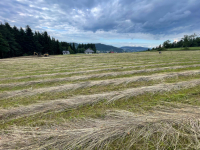 Działka budowlana Podłopień 930 m2