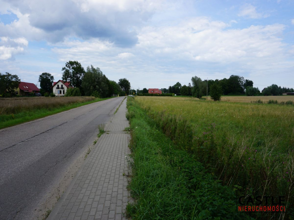 Działka 6303 m² | Bogatka koło Gdańska Bogatka - zdjęcie 8