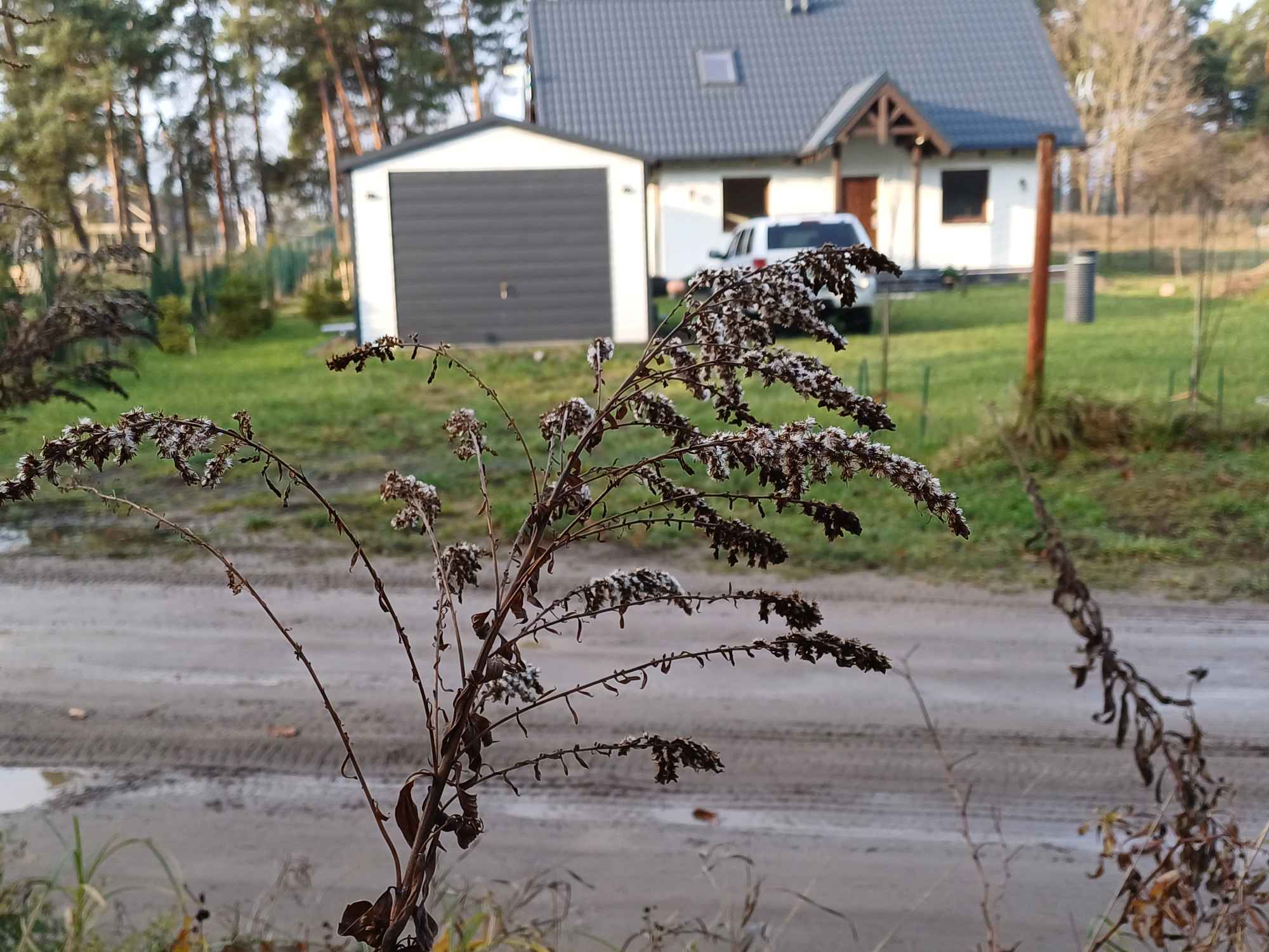 Dom Demlin nad jeziorem przy lesie Demlin - zdjęcie 9