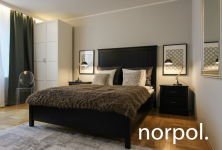 Mieszkanie w Starym Mieście, ul. Sławkowska Kraków - zdjęcie 2