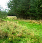 Zainwestuj na obszarze Natura 2000 Puszcza Notecka Marylin - zdjęcie 4