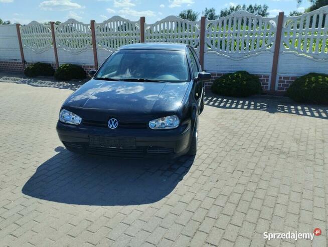 Vw Golf 4 1.6 SR 1999 Sicienko - zdjęcie 8