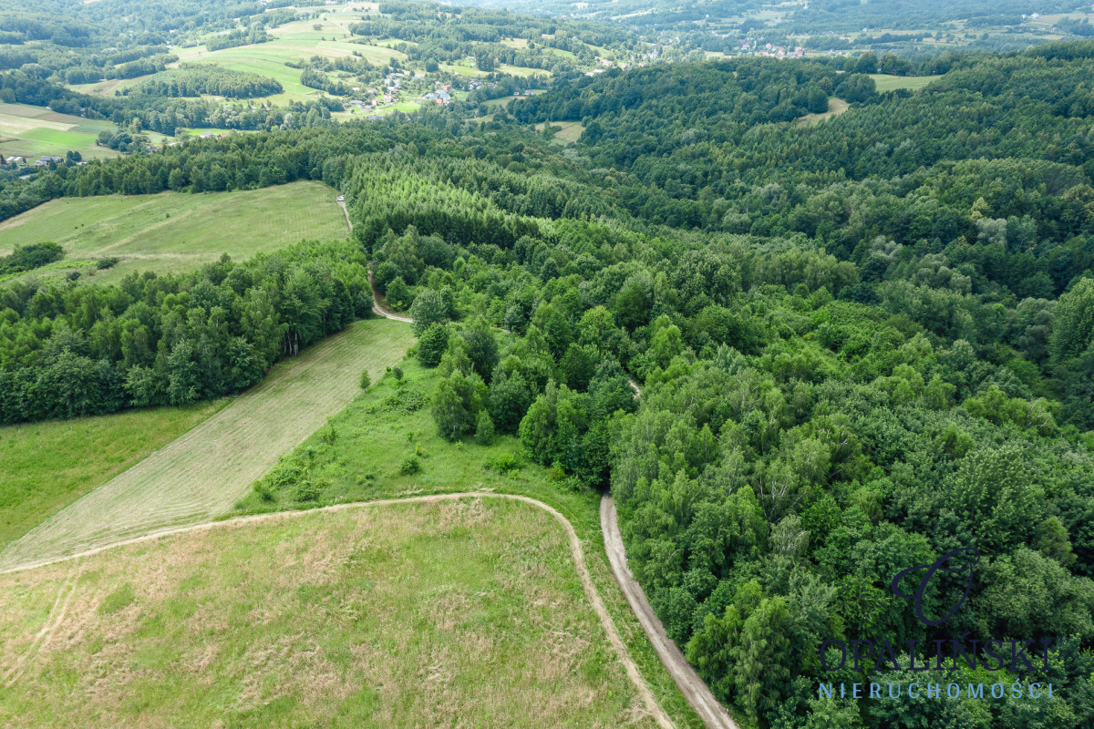 20 km od Rzeszowa | 2, 61 ha |  Cicha okolica Straszydle - zdjęcie 12