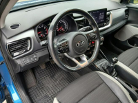 Kia Stonic Salon PL /Bezwypadkowy / BUSINESS LINE / Serwisowany Poznań - zdjęcie 12
