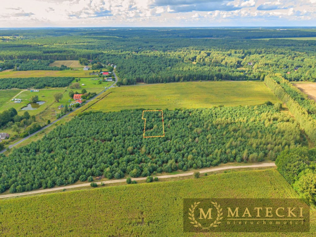 Wyjątkowa, duża działka z drzewami Karczewko - zdjęcie 2