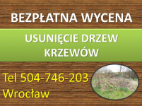 Przycięcie żywopłotu, skrócenie, tel 504-746-203, Wrocław, pielęgnacja Psie Pole - zdjęcie 3