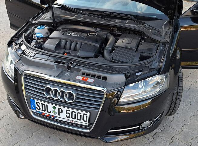 Audi A3 * 1.6MPi* 102KM* BARDZO Ładne* Z NiEMiEC* ESP* Olsztyn - zdjęcie 9