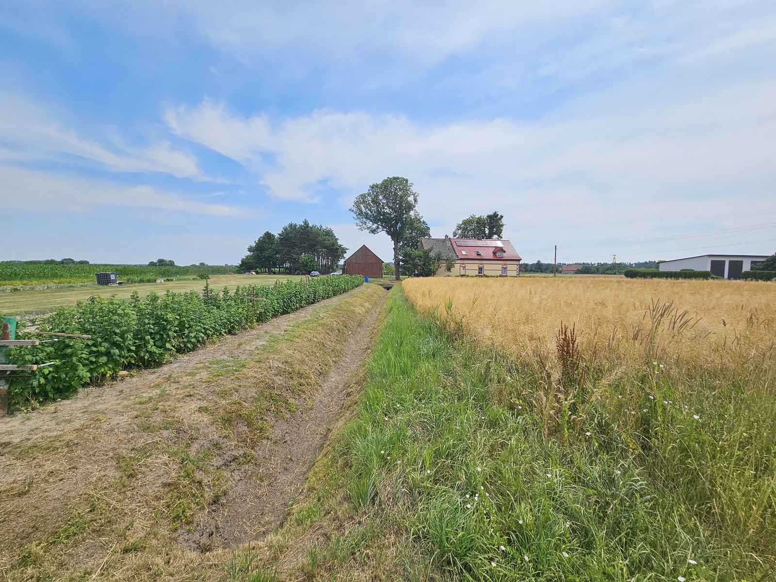 Działka Budowlana (2000 m2) MEDIA (Brzozowiec) Brzozowiec - zdjęcie 7