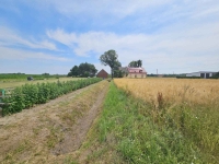 Działka Budowlana (2000 m2) MEDIA (Brzozowiec) Brzozowiec - zdjęcie 7