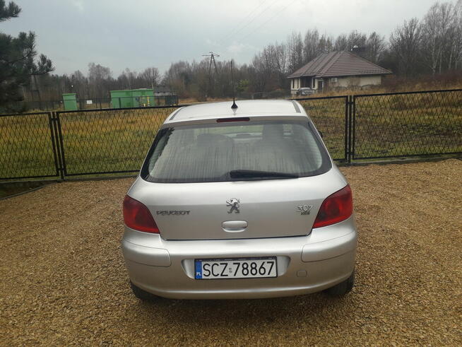 Peugeot 307 hdi Kolonia Poczesna - zdjęcie 2