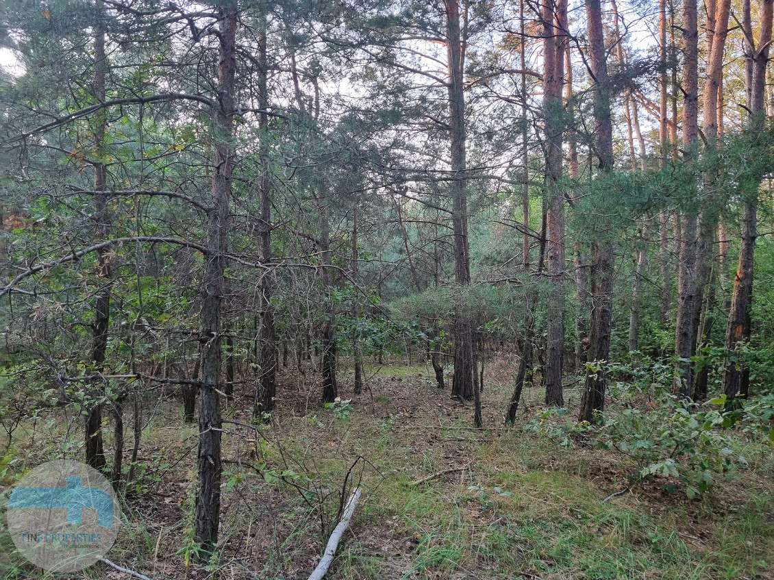 Piękna działka w cichej okolicy. Kąty Węgierskie - zdjęcie 1