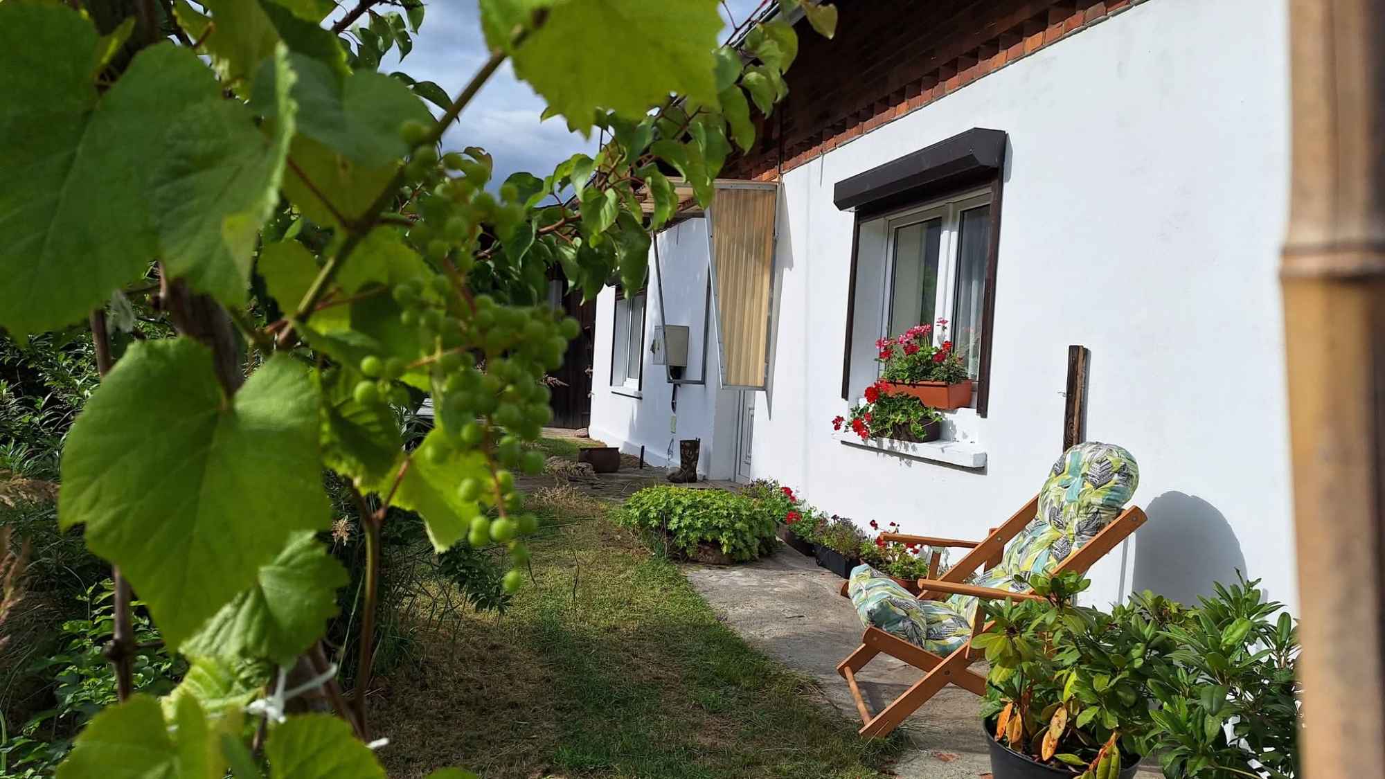 Dom po remoncie wśród Lasów Stobrawskich Dąbrówka Dolna - zdjęcie 1