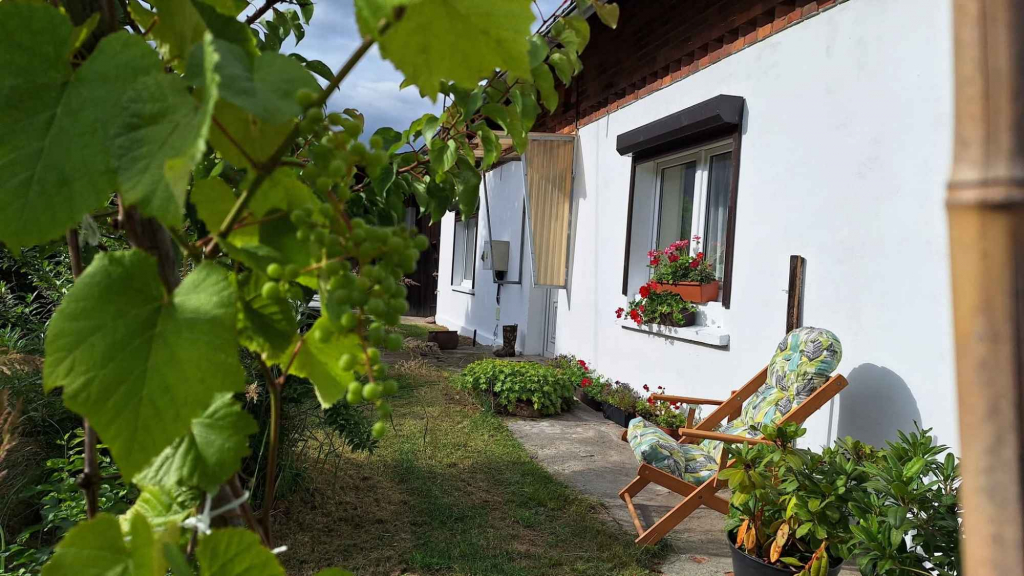 Dom po remoncie wśród Lasów Stobrawskich Dąbrówka Dolna - zdjęcie 1