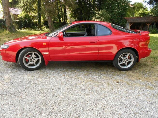 Celiica Wierzchucino - zdjęcie 2