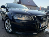 Audi A3 LIFT, Klimatronic 2-stref, Podgrzewane fotele, Książka serw. Cieszyn - zdjęcie 5