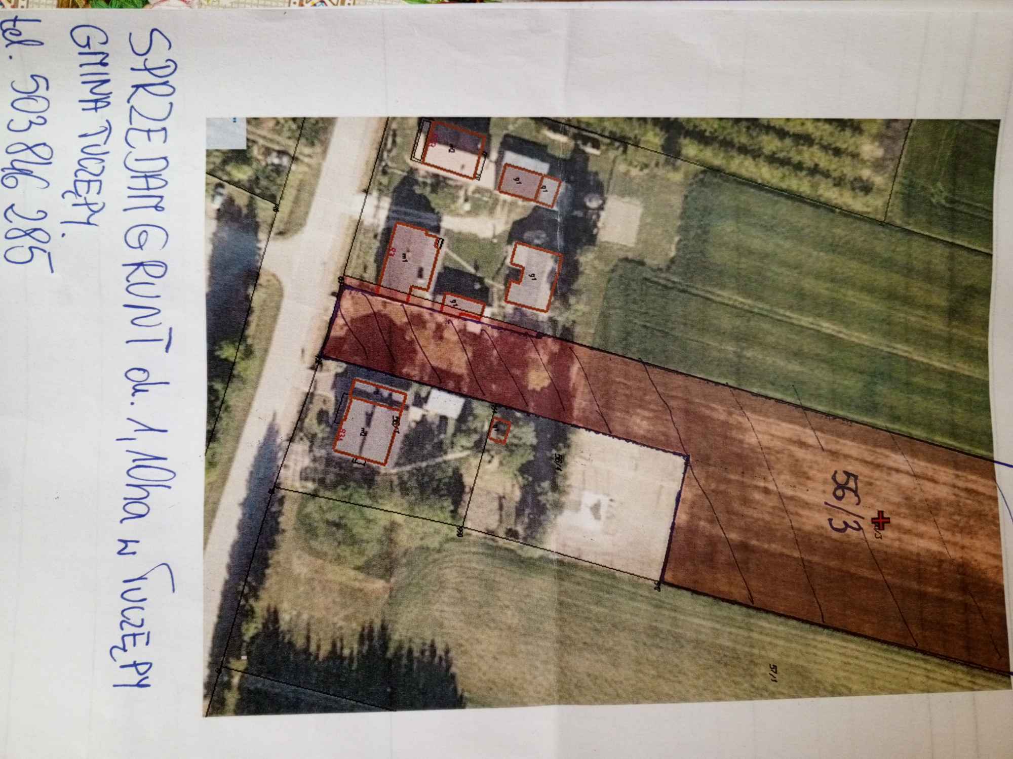 Sprzedam grunt z działką budowlaną Tuczępy - zdjęcie 1