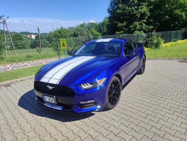 Ford Mustang zadbany oryginalny lakier serwisowany Kalwaria Zebrzydowska - zdjęcie 3