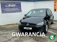 Volkswagen Golf Salon Polska, Bezwypadkowy - Gwarancja 12 miesięcy