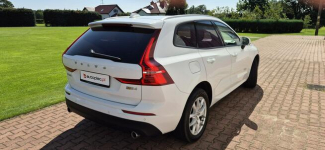 Volvo XC 60 SALON PL-KAMERA-LED-MEDIA-STAN Paproć - zdjęcie 8