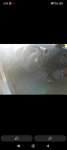 Seat Ibiza 1.4 2004 Wieliczka - zdjęcie 6