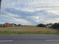 Działka budowlano-usługowa 1618 m² – Dopiewo Dopiewo - zdjęcie 8