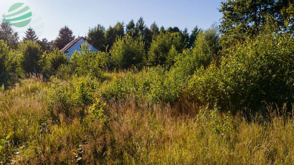 Działka budowlana 1302 m² z pozwoleniem na budowę Rusko - zdjęcie 10