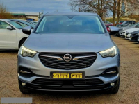 Opel Grandland X Serwis LED Parktronic Climatronic Tempomat Gwarancja Szczecin - zdjęcie 2