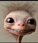 Przyjaźń, wspólne spędzanie czasu,przyjemności te małe i duże 😈🔥